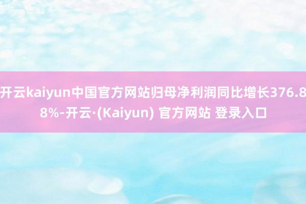 开云kaiyun中国官方网站归母净利润同比增长376.88%-开云·(Kaiyun) 官方网站 登录入口